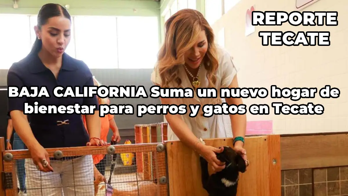 Noticia