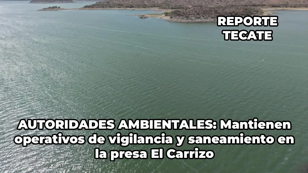 Noticia